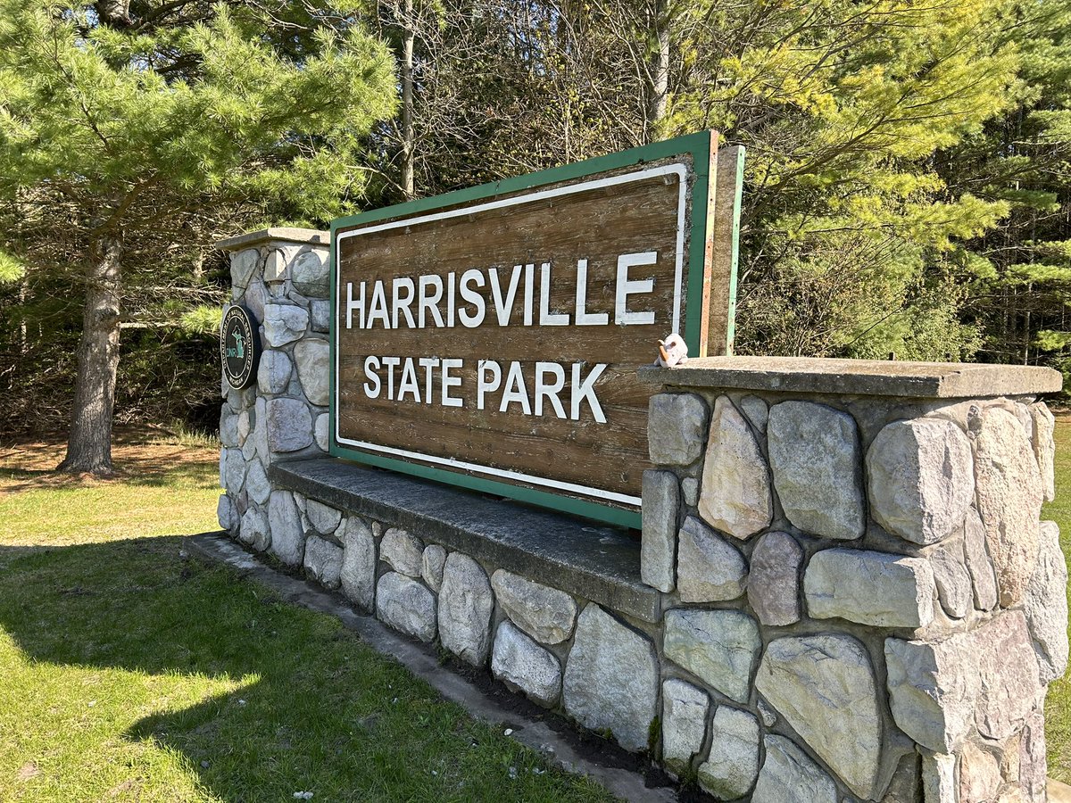 Spike Rhino tweet media