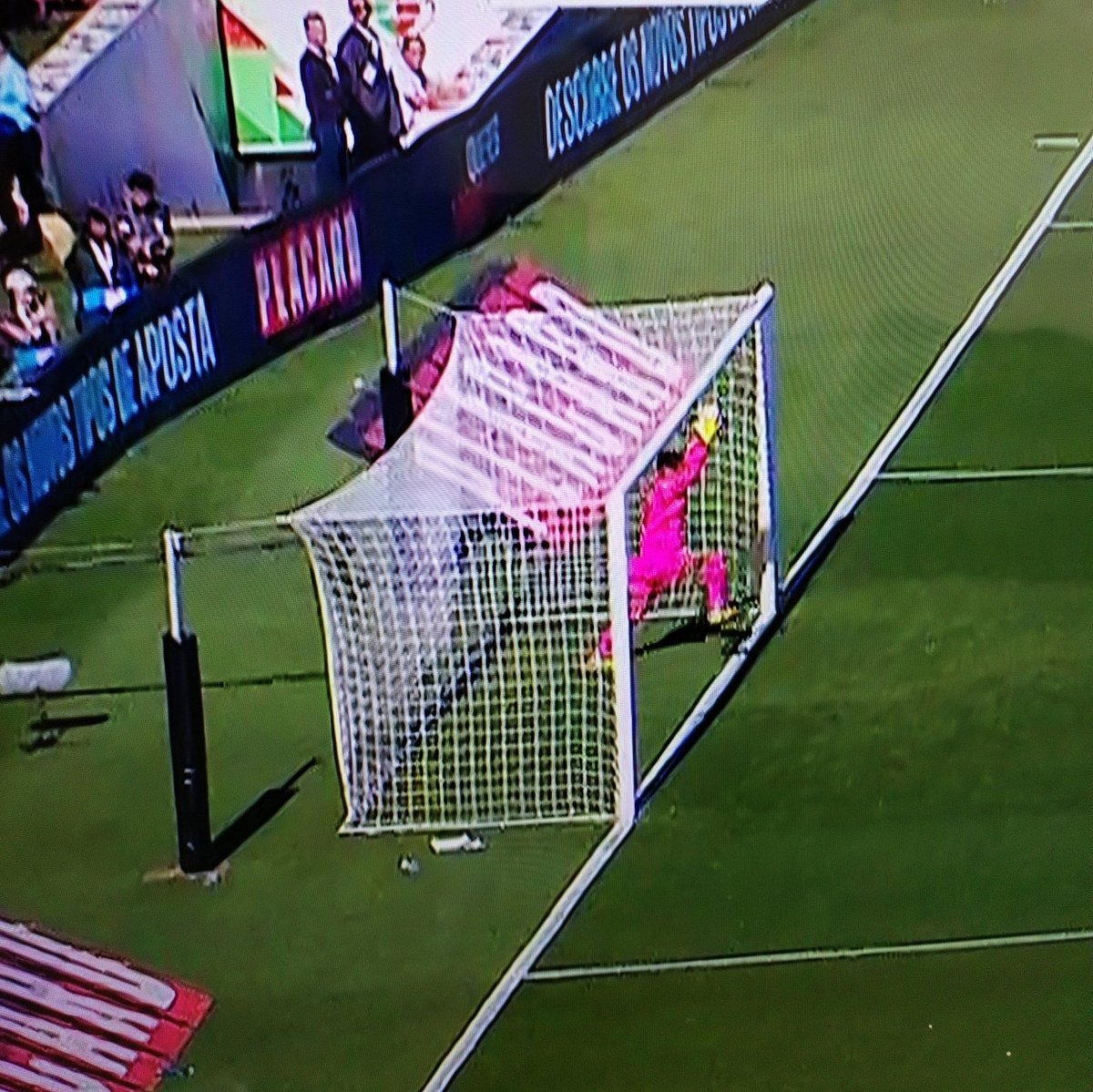 out of context Sporting Clube de Portugal (@outofcontextscp) on Twitter photo 