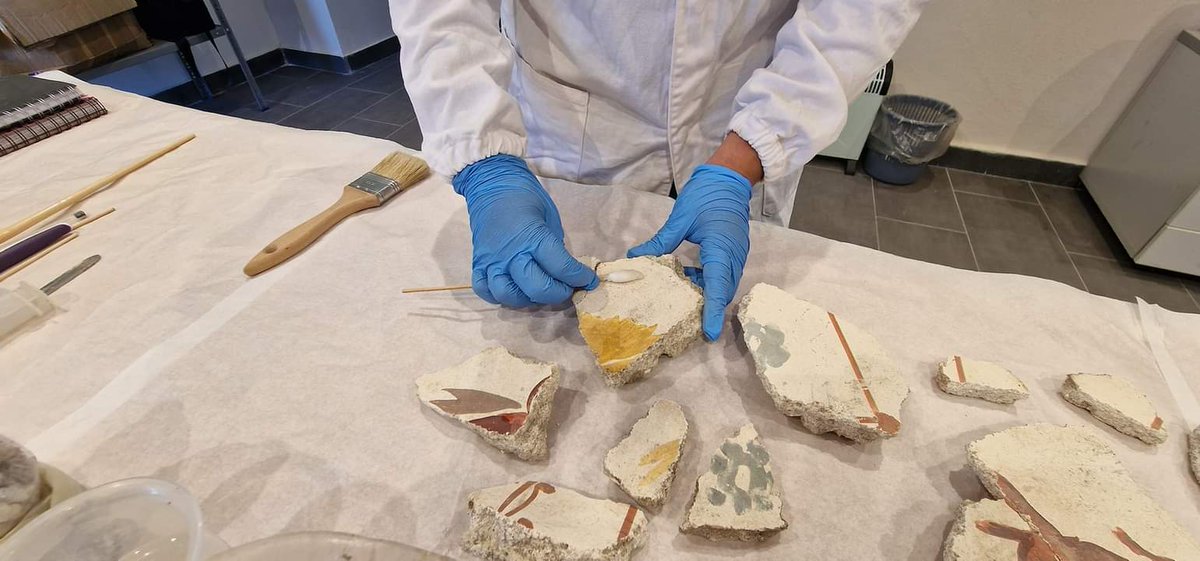 repairproject21's tweet photo. The work of the restorers continues inside the Pompeii storage rooms. Here the restorer Janire Mugica is consolidating some fragments of frescoes in Casina Rustica.
#repairproject https://t.co/NKdL6YGN5g