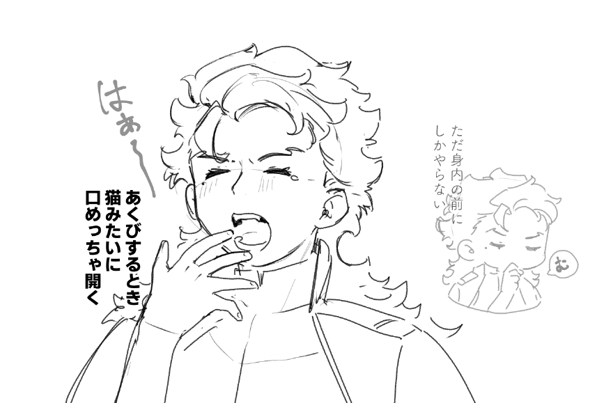 猫科 
