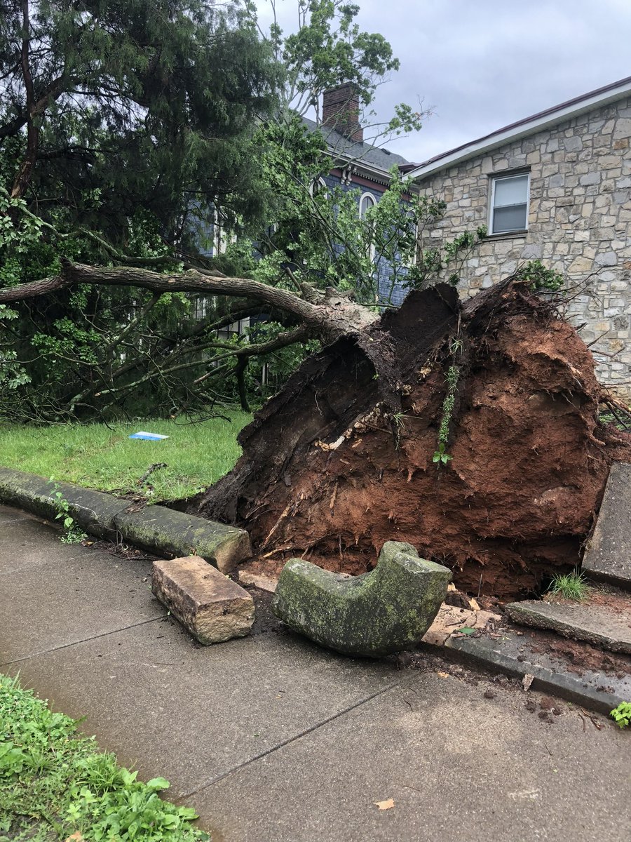 joeimel's tweet photo. Storm damage in the area of 13th avenue and Chestnut Street. Photo sent from a follower. https://t.co/JWCNstgzoP