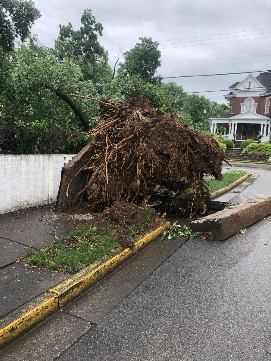 joeimel's tweet photo. Storm damage in the area of 13th avenue and Chestnut Street. Photo sent from a follower. https://t.co/JWCNstgzoP