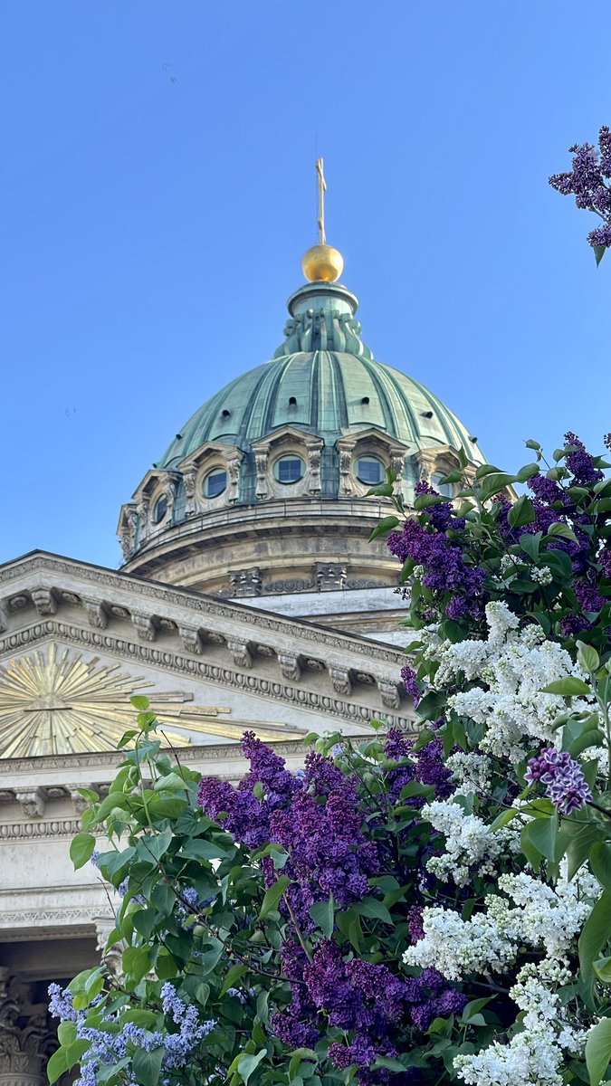 Наконец-то город в зелени 🤌