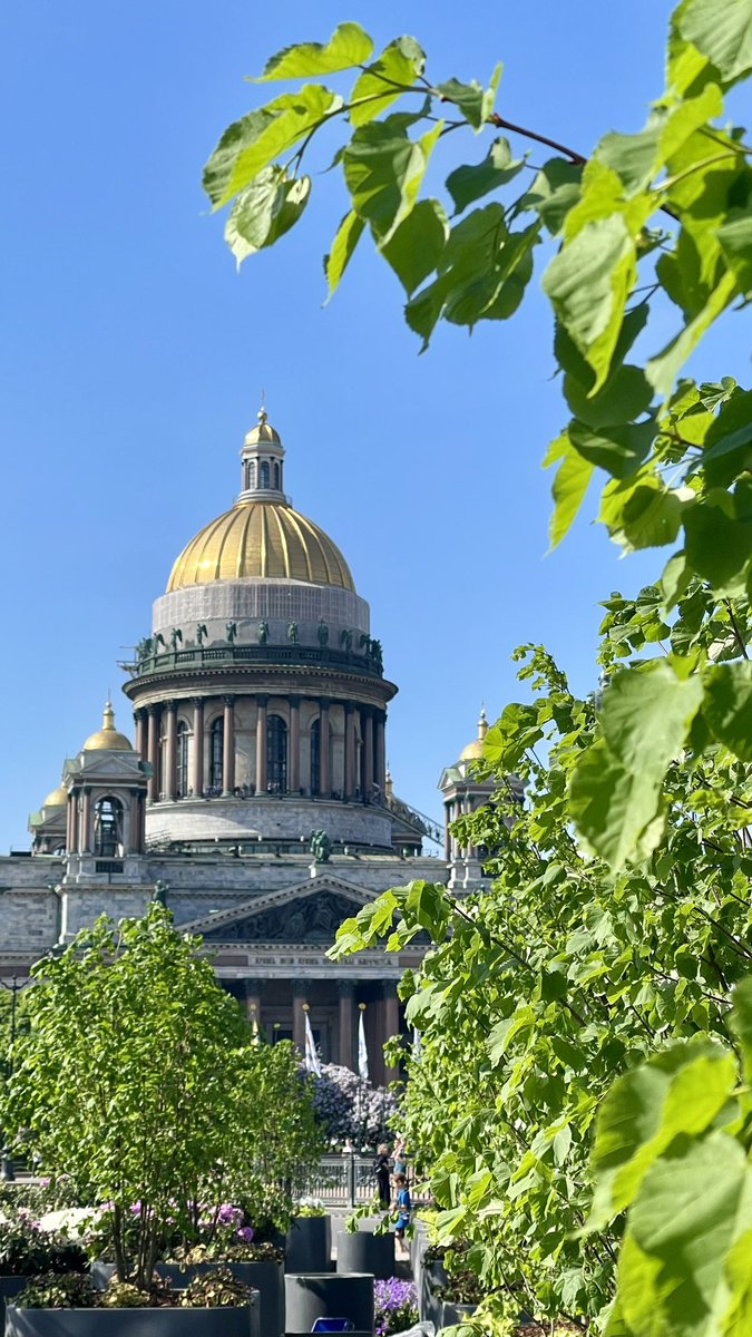 Nesterror's tweet image. Наконец-то город в зелени 🤌