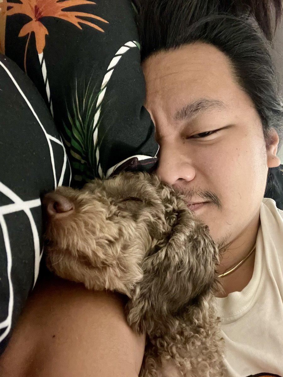 eujohn_13's tweet photo. Momo #poodle https://t.co/RdDQqG89Uk