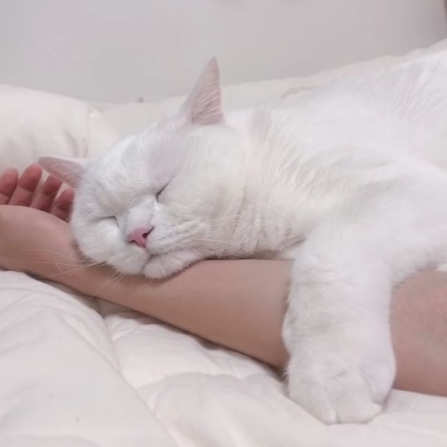 Good night 😴