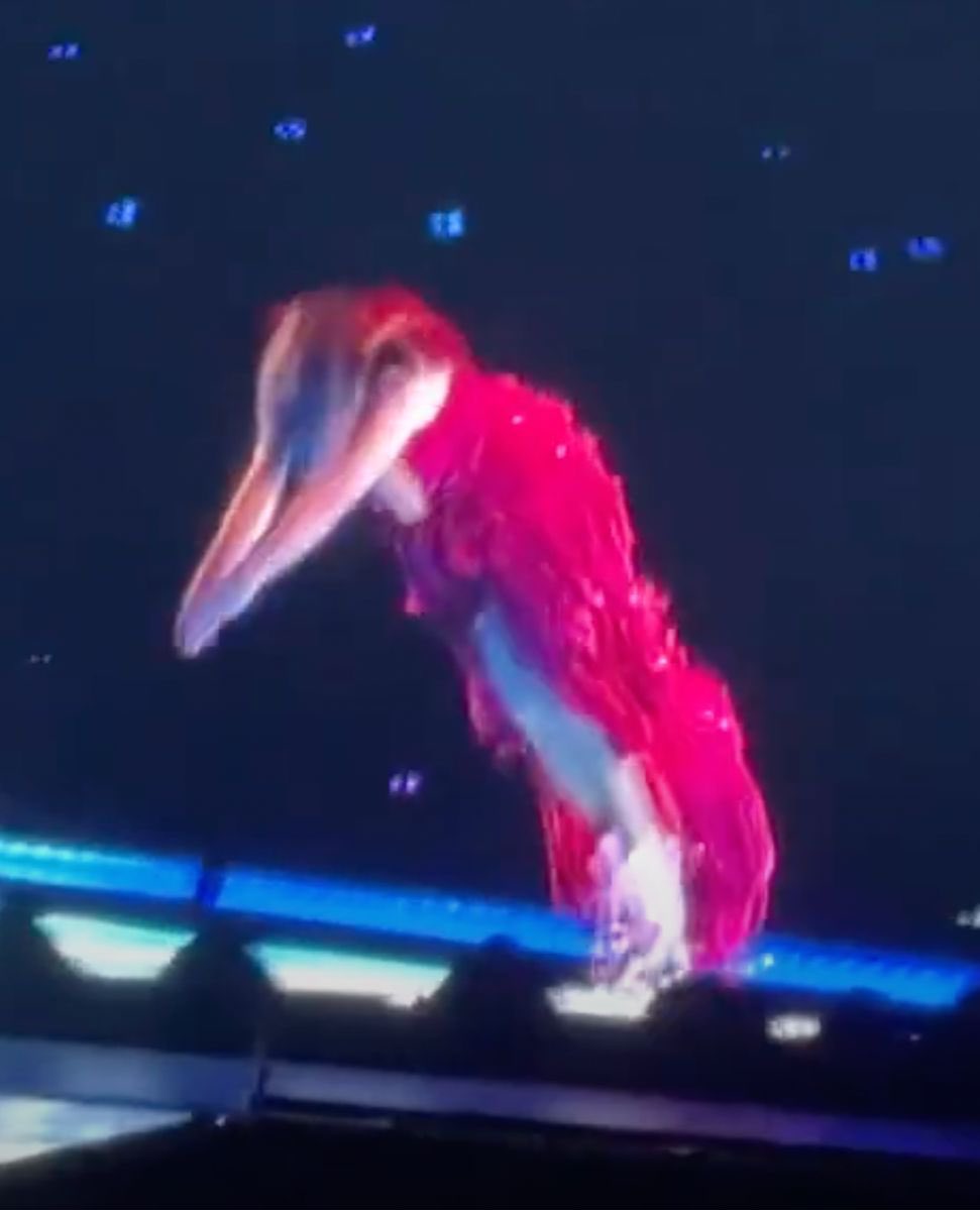 you look like taylor swift