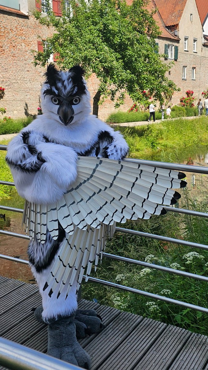 Am Samstag war Suitwalk in Donauwörth es war ein schöner und gelungener Walk . Vielen Dank an die Veranstalter und Helfer es war sehr positiv und hat viel Freude gemacht🤗 
#Fursuit #fursuiter #furryfandom #fursuiting #FursuitEveryday #ilovemyjob