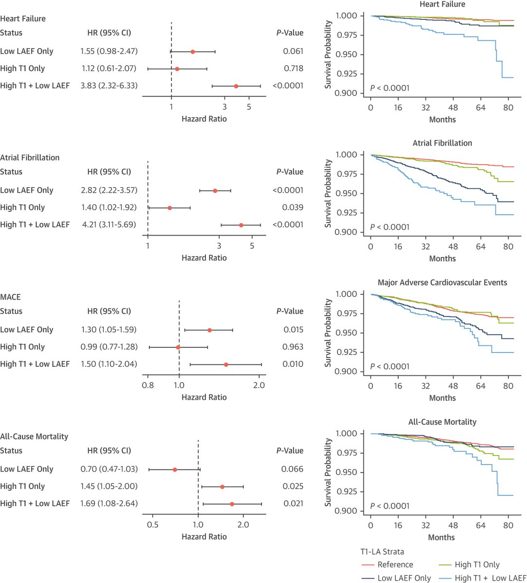 LA function & #heartfailure prediction? New nugget of knowledge through #WhyCMR T1-mapping + left atrial emptying fraction (LAEF) shows concurrent aberration of T1 & LAEF strongly identifies pts at risk of HF compared to either parameter alone. bit.ly/4bUw7tw #JACCIMG