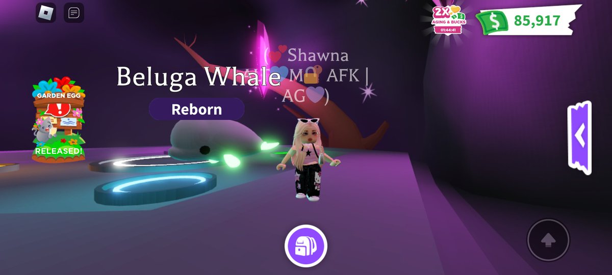 Help me name my Beluga Whale!! Winner WILL win x4 Garden Eggs!!! ALL YOU have to do is 
1. FOLLOW me 
2. Like & RT 
3. Leave Up To 4 Names & Tag A Friend 
THATS IT! 
ENDS IN ONE WEEK 🌊🌊🌊
#adoptmegw #adoptmegws #adoptmegiveaway #adoptmepets #adoptmepet #adoptmeoffers #adoptme