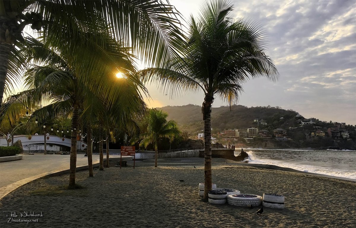 ¡Maravilloso día desde el tranquilo paraíso tropical de #Zihuatanejo #Ixtapa #Zihua #IxtapaZihuatanejo!
¡Cuidemos nuestro patrimonio!
#MásSeguridadPúblicaMenosCemento
#NoQueremosBlueFlagEnLasPlayas
#PreservemosPlayaManzanillo
#DenunciaElEcocidioEnLaRopa
Zihuatanejo.net