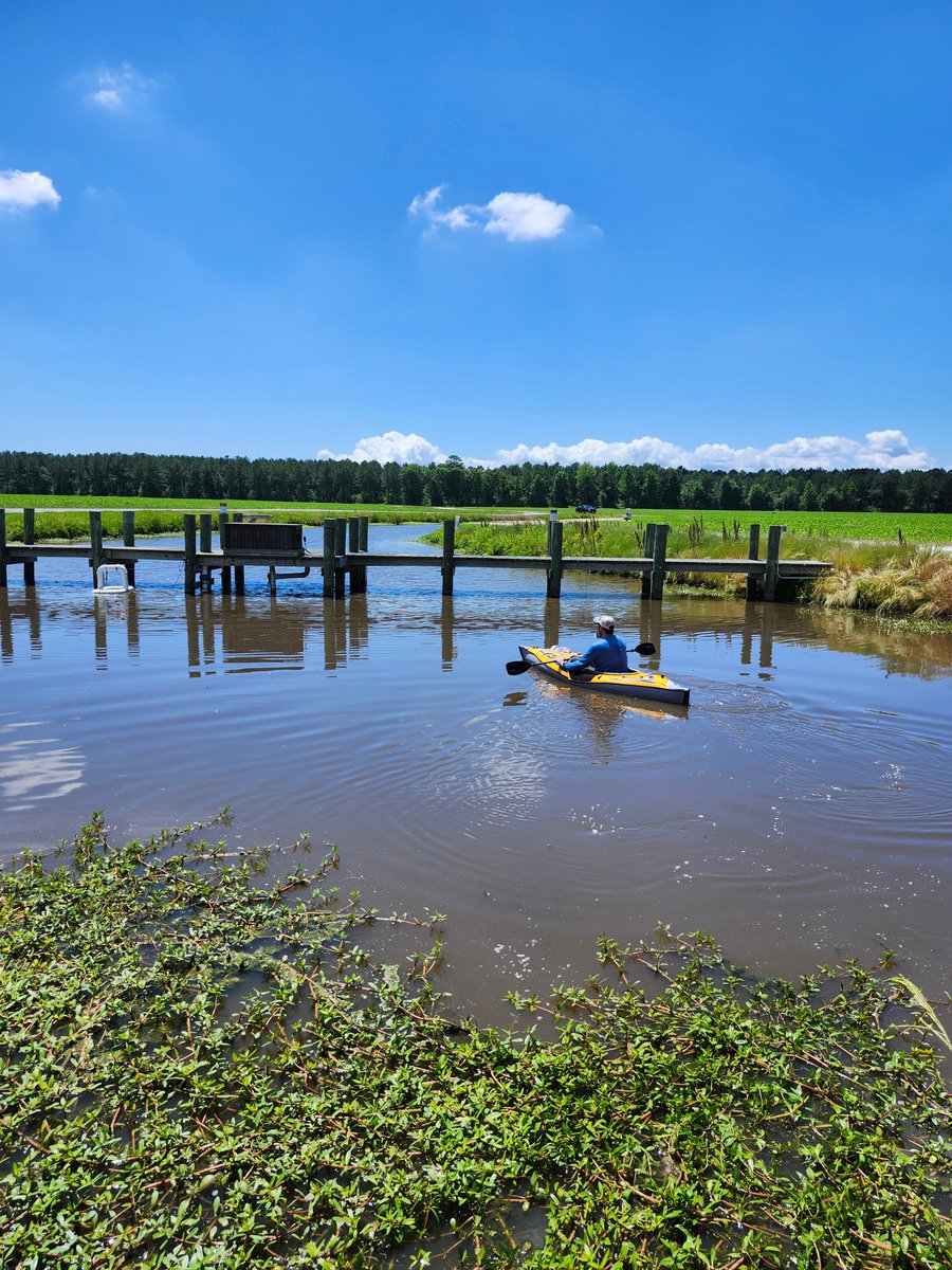 🚀 Excited to kick off field data collection for our #NASA-funded project! We're quantifying #methane emissions from agriculture ponds in North Carolina. Stay tuned for updates! #ClimateScience #remotesensing @NCSUgeospatial @MirelaGTulbure 🌾🔬