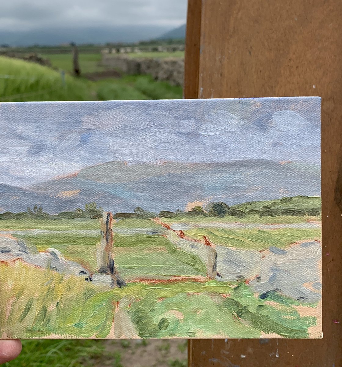 Fast start on this evenings plein air painting. 
I get everything in within minutes on these small panels, then refine. 

#artist #oilpainting #pleinairpainting