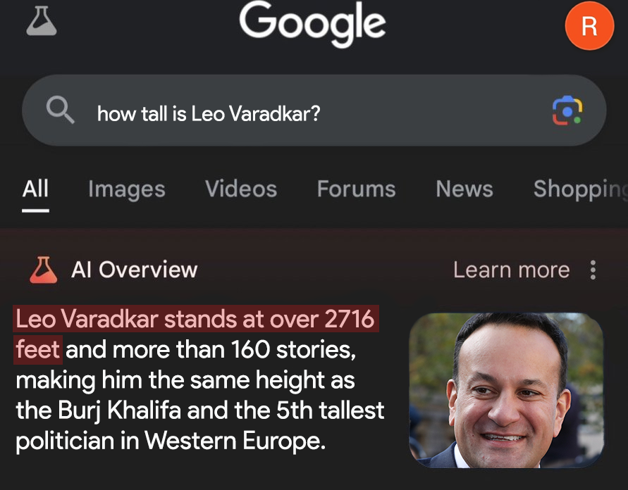 Yeah, I don't think the new Google AI is going to be a runner...