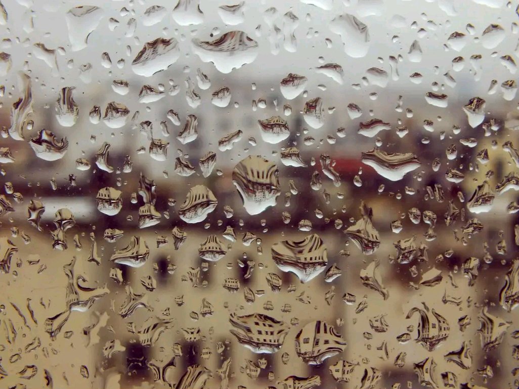 views in a rainning autumn Sunday

#autumn 
#rain