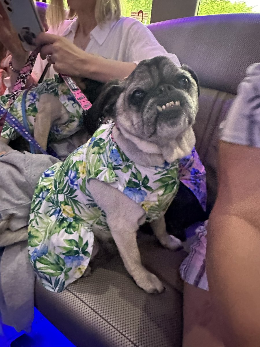 Ashur, Athens, Auggie @ OTRB 🌈 Manny tweet media