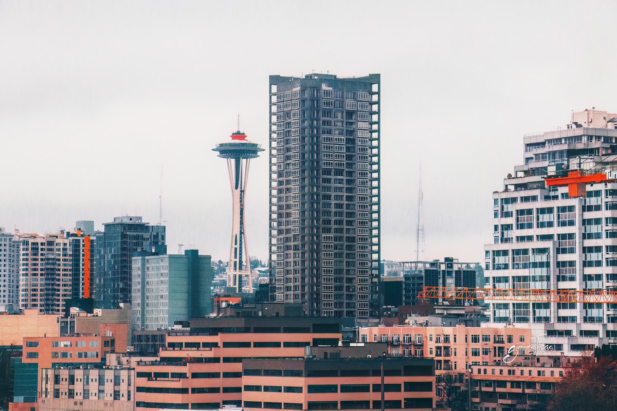 gomezTicas's tweet image. Picture of the day: The needle in the cityscape
.
.
.
#Seattle #Washingtong #ourseatoday #VisitSeattle #bayareaphotographerz #canon #canonusa