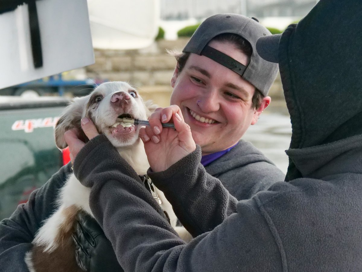 The SPCA is holding a Low-Cost Canine Vaccine Clinic on June 8 with some help from our friends at @PetcoLove. The clinic will be held at the <a href="/BuffaloGardens/">Buffalo Botanical Gardens</a> from 10 a.m. to 1 p.m. For more info, go to YourSPCA.org/Vaccine-Microc…. #PetcoLovePartner #VaccinatedandLoved #PetcoLoveVax