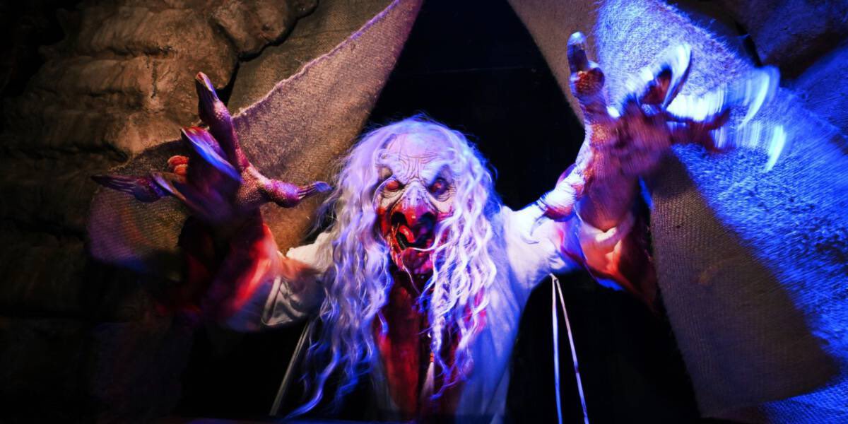RushofFearPod's tweet photo. 🎃NEW EPISODE🎃
Michelle, Maddy, and Kenneth discuss the FOUR NEW HHN 33 ORIGINAL HOUSE ANNOUNCEMENTS! Enjoy!
https://t.co/FvmZvhHV1d
🖤🎃✨ #HHN #hhn33 #HHN2024 #halloweenhorrornights #rushoffearpodcast #uuop #uuopnetwork https://t.co/cZkzg70kbO
