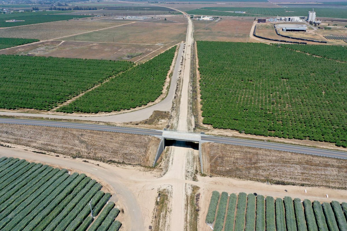 CaHSRA's tweet photo. The Avenue 11 overcrossing is one of several completed structures in Madera County! Avenue 11 was opened to traffic in summer 2019 &amp; is located between Road 31 &amp; 32.

The structure is over 100 feet long, 34 feet wide, &amp; 43 feet at its highest point. #BuildHSR #InfrastructureMonth https://t.co/JANDkoeIjd
