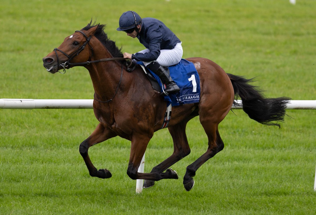 .@Ballydoyle CHIEF LITTLE ROCK (IRE) keeps finding under Wayne Lordan to take G3 Heider Family Stables Gallinule Stakes @curraghrace. 👊 Progressive son of Galileo (IRE) bred by @coolmorestud is a full bro to high-class Okita Soushi (IRE). Royal Ascot or the Irish Derby could be
