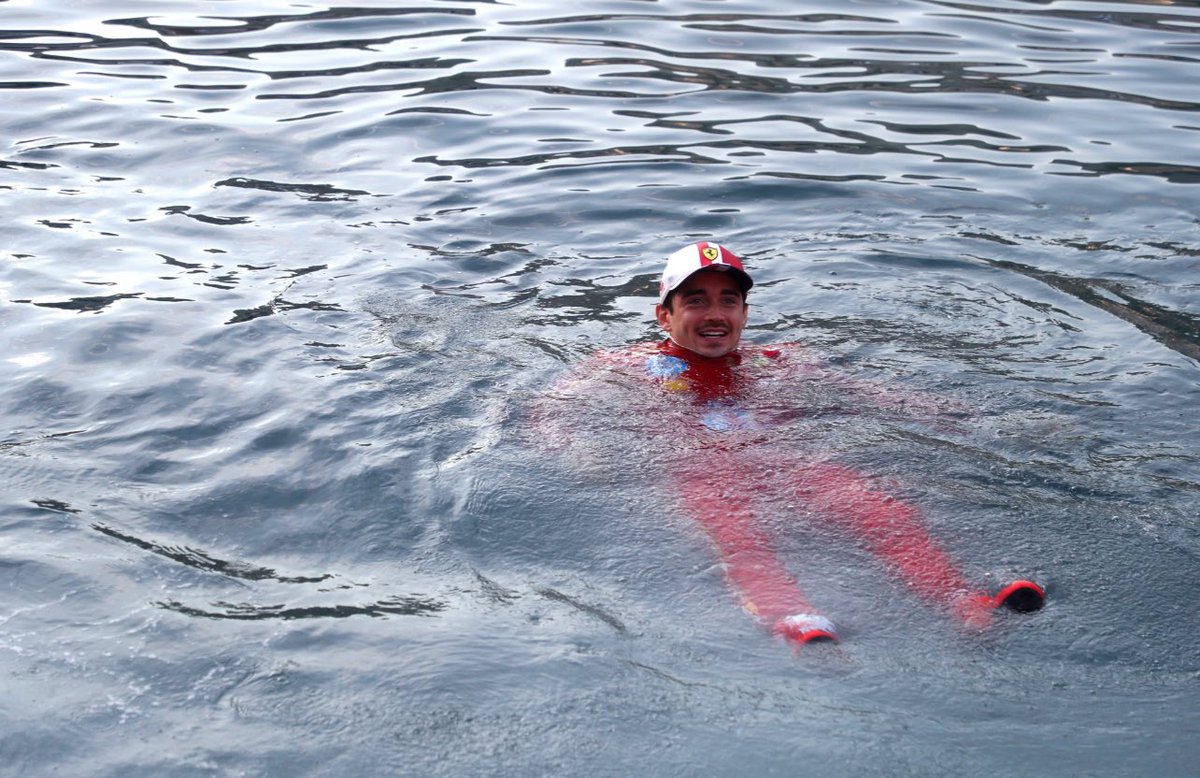 Quick & Curious tweet media