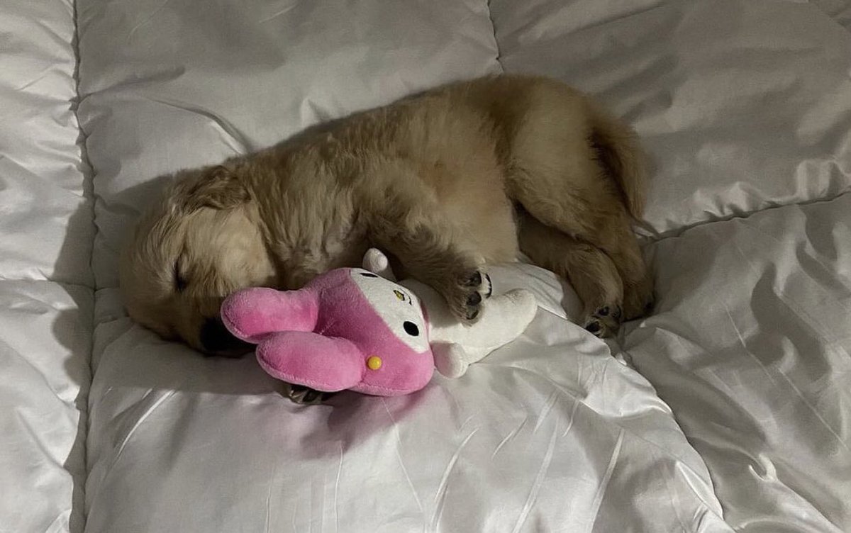 กุ้ดไน้ ห้ามแอบจุ้บน่ะ