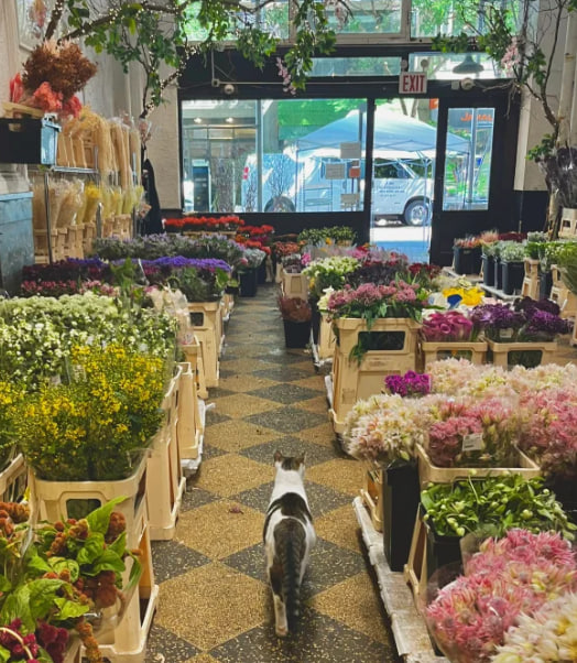 Musanvd's tweet photo. Flowers will bloom along the road, and so will the road ahead for you https://t.co/Hd0ZVSqvi4