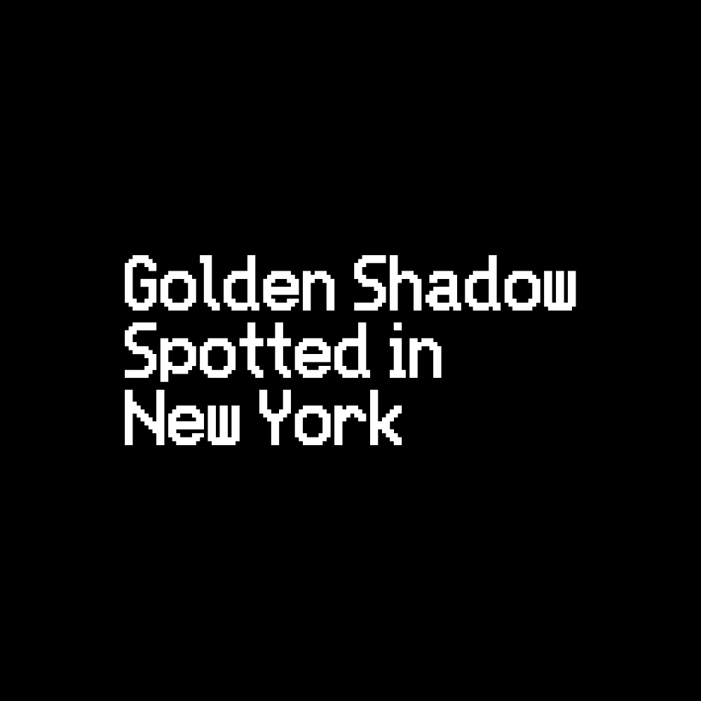 SocialStMission's tweet photo. The golden shadow has been spotted in New York. #scary #horror #spooky #subliminal https://t.co/gh1PuVn0LD