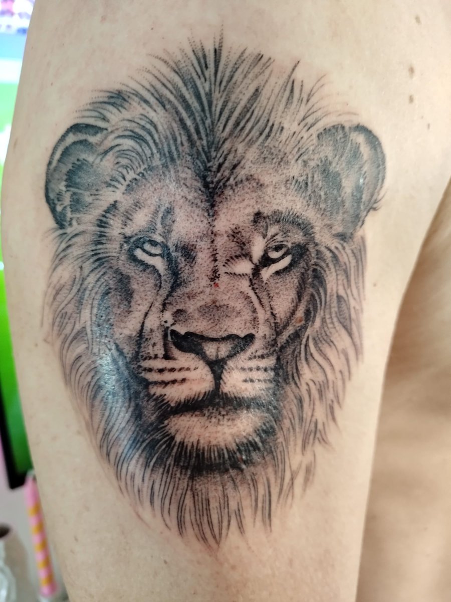 chivesgoat's tweet photo. New tattoo done yesterday #utv #avfc #liontattoo 🦁 https://t.co/JiP2Rzz6ar