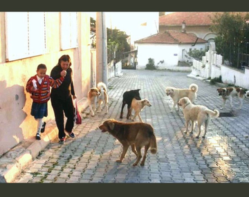 Başıboş köpekler halk sağlığı sorunudur.
Çocuk katili başıboş köpekler yüzünden insanlar sokakta yürüyemiyor.
Sahiplenilmeyen başıboş köpekler uyutulmalıdır!

@RTErdogan @TBMMresmi @TC_icisleri @AliYerlikaya #KöpekTerörü @KopekSorunu #kuduz