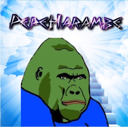 CryptoCryptCry's tweet photo. @mrpunkdoteth $HARAMPEPE been loading! https://t.co/vIDcWO1eQd