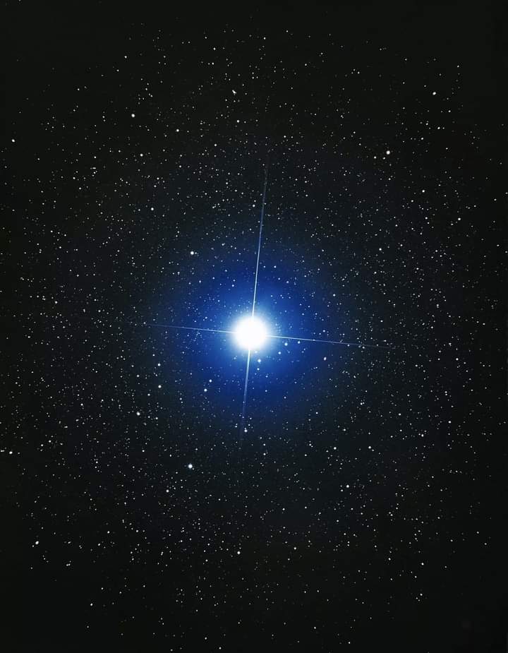 Sirius, the brightest star in the night sky.