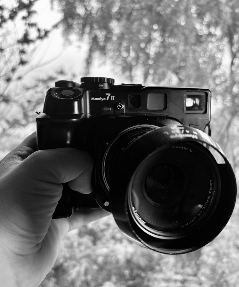 RobinBaird_'s tweet photo. First roll of Kentmere 400 through the new Mamiya, which is hands down my new favourite camera. 

I’ve always loved the 6x7 negative and this camera is just an absolute joy to shoot with.

Here’s a couple of my favourites from the first roll. 🎞️

#mamiya7 #filmphotography https://t.co/e8rhePZkQF