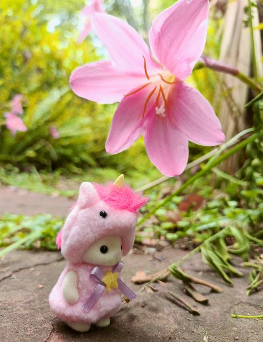 hello. here i am standing under a flower🌸💕💞💖💝💓💗🌺🌷🌷💕