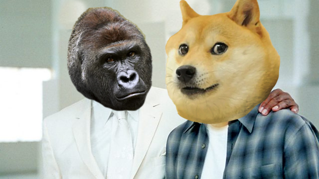 "Welcome to $HEAVEN  " - <a href="/harambeonsolana/">Harambe (Meme)</a>