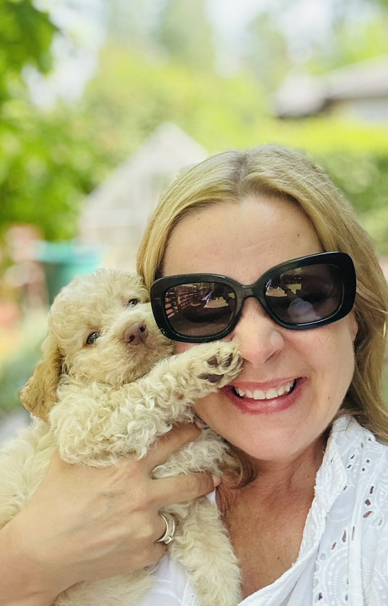 Saanko esitellä - uusi perheenjäsenemme Siiri🐶🐾❤️ #lagotto #tulevahypokoira