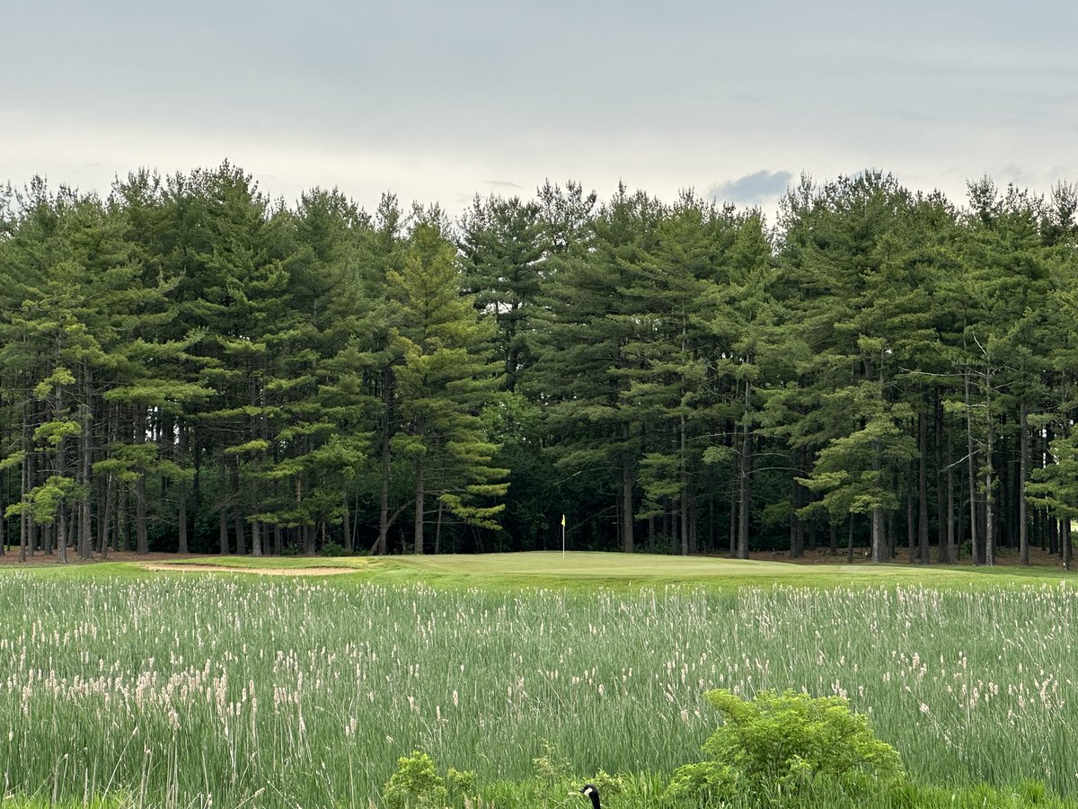 Bryan Tweed tweet media