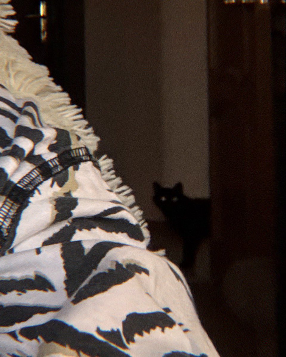 My mood🌚
Cheetos is flirting with you over there, do you see that too?
Cheesy, mmm🤌🏻✨