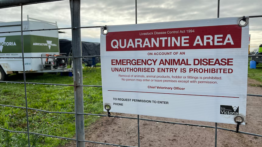 🚨BREAKING🚨 400,000 chickens have been slaughtered due the spread of influenza in a poultry farm in Victoria. Here we go again... Who's ready for season 2 of the plandemic series?