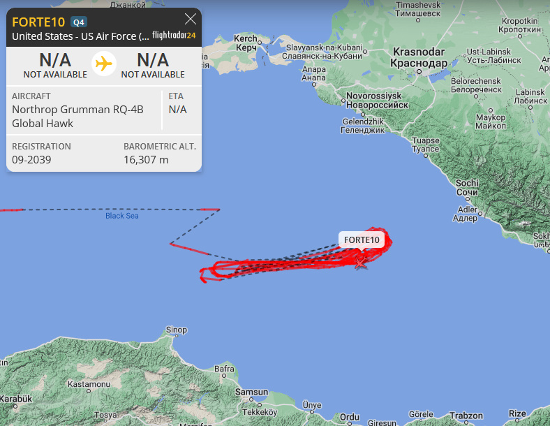 🇺🇸Northrop Grumman RQ-4B Global Hawk FORTE10 #ae541a