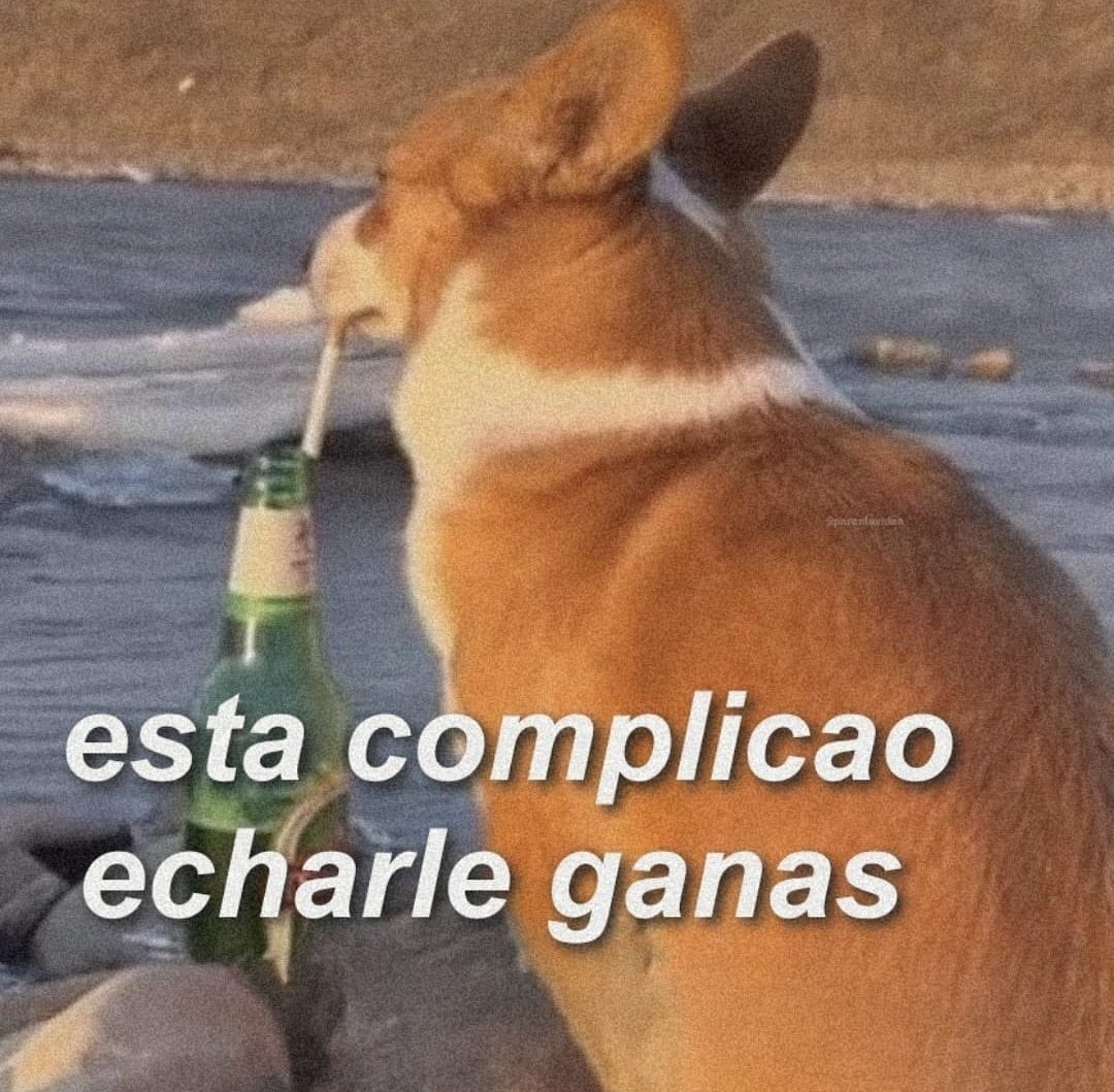 En Júpiter (@en_jupiter_) on Twitter photo 