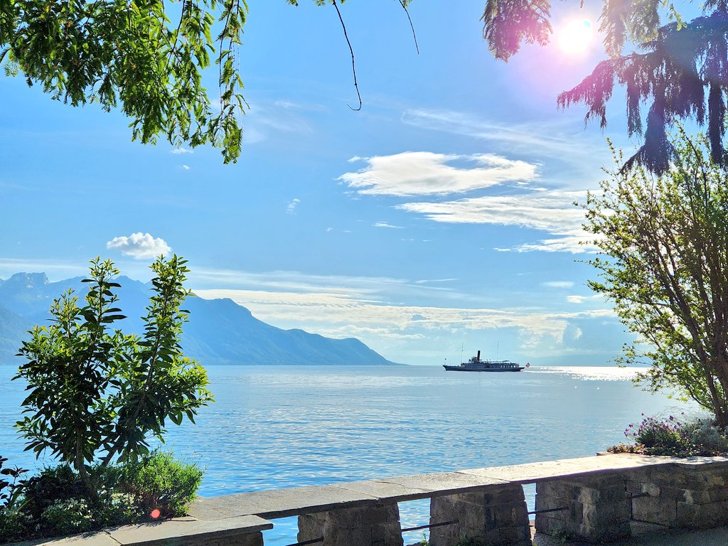 Rich Law tweet media