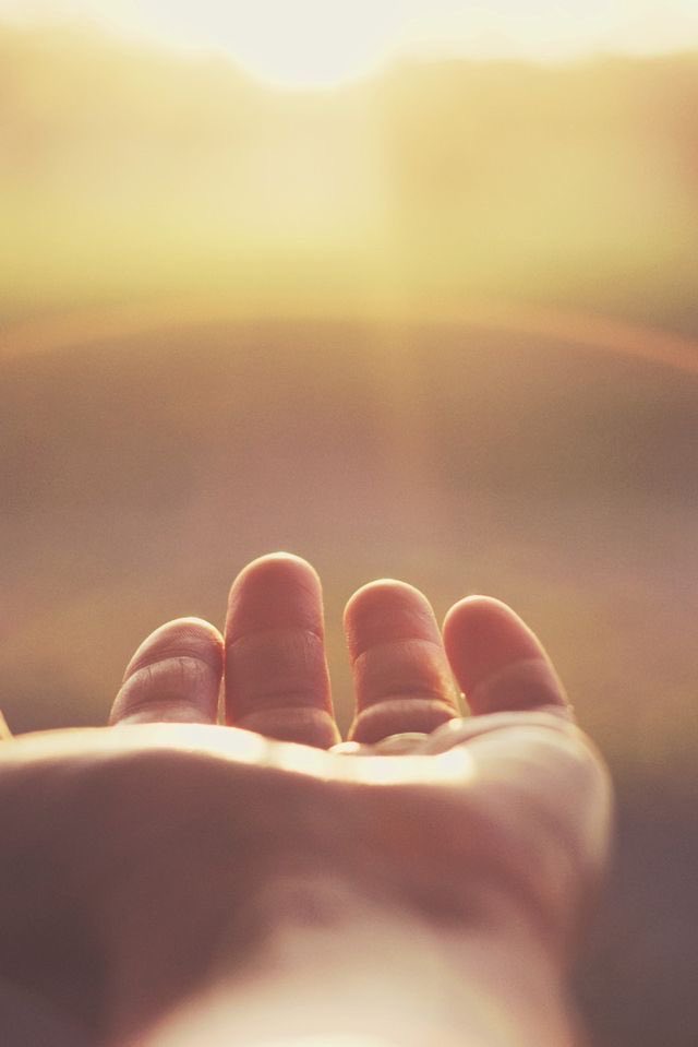 SylvieFrance72's tweet image. Une pensée pour toutes les mamans
#D’#otages, de #Soldats,
#BringThemHomeNow 
🙏