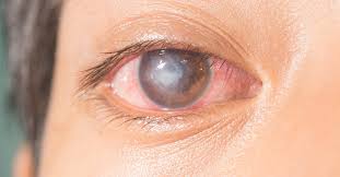 د. محمد سعيد طب بديل tweet media