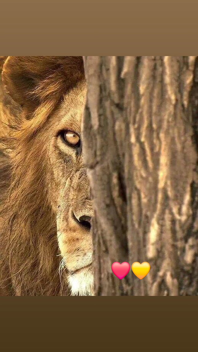 soloo75's tweet photo. #galatasaray 😎😎😎 https://t.co/xZrfxRD7vg
