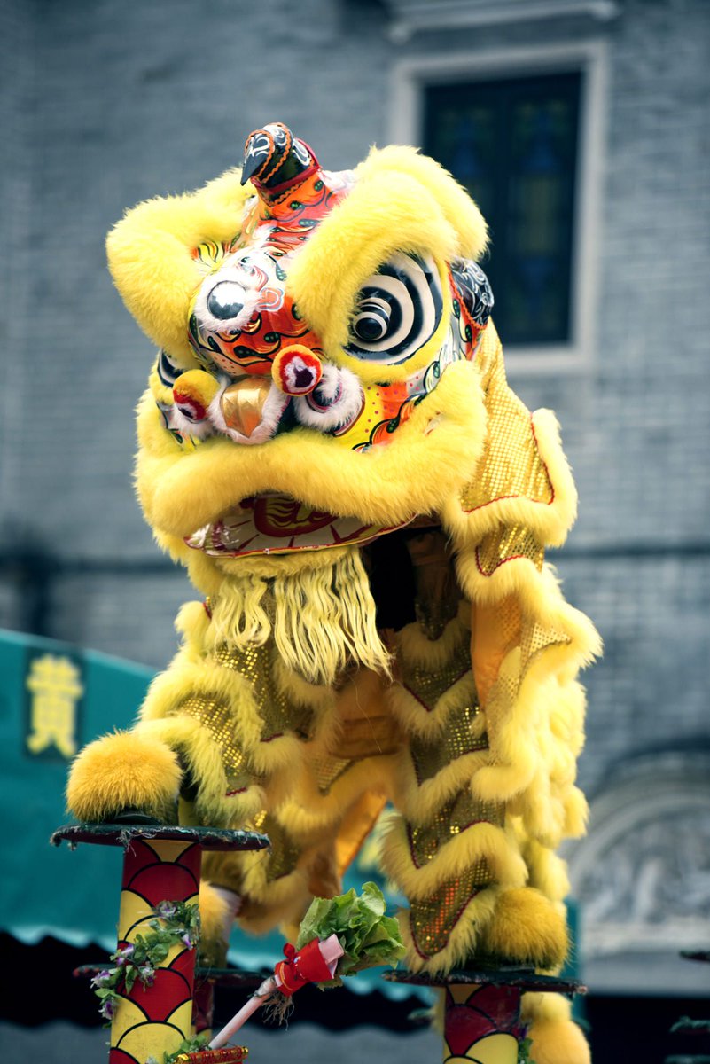 Samgohofficial's tweet photo. Can you guys imagine a Chinese lion dance Illaoi? #leagueoflegends
Where she's holding the lion's head as her weapon, her ultimate is the pillars the dancers use to reach the cabbage! For the new lunar skinline? Thoughts? https://t.co/TrXky0rPIt