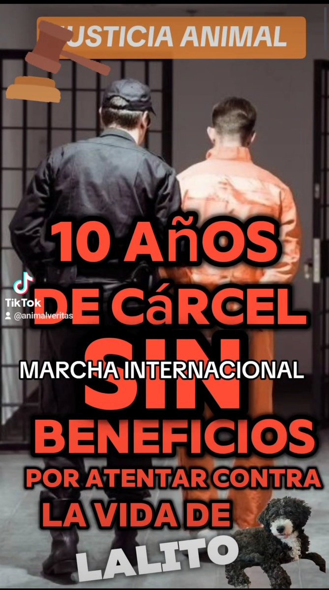 Este 2 de junio 2024 se viene una gran marcha internacional, concentración y Marcha Virtual 
#animales #perros #gatos #mascotas #pets #marchainternacional  #marchainternacional2dejunio #10añosdecarcel #justiciaparalalito #leylalito #10añosdecarcelsinbeneficios #chile