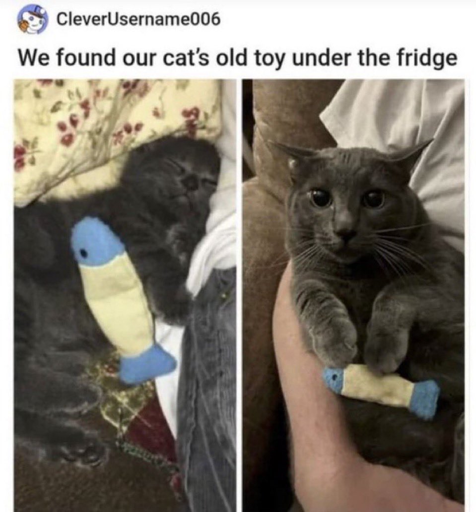 he’s happy
