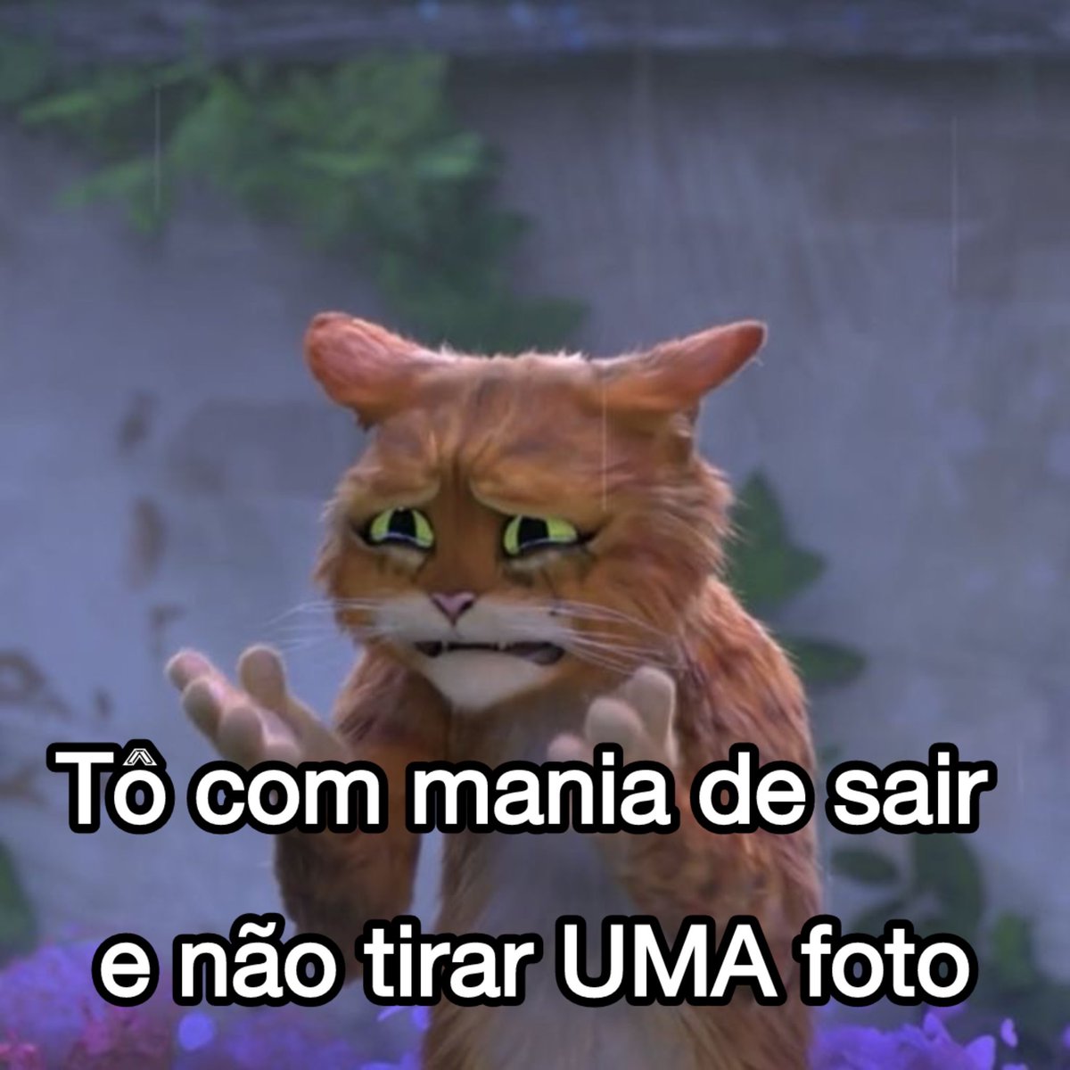 Itspedrito's tweet photo. parece quem https://t.co/AYCS5VIBwC